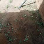 Akothpp Profile Picture