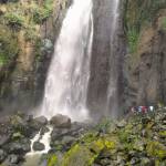 CICILIA MUCHIRI Profile Picture