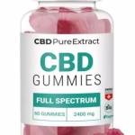 Ormazd Beauchesne Profile Picture