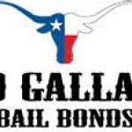 David Bonds Profile Picture