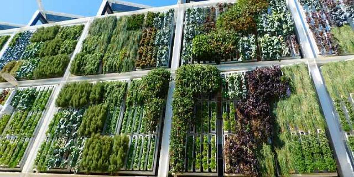 The Magic of Vertical Gardens: Maximizing Space and Beauty