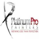 Platinum Painters Profile Picture