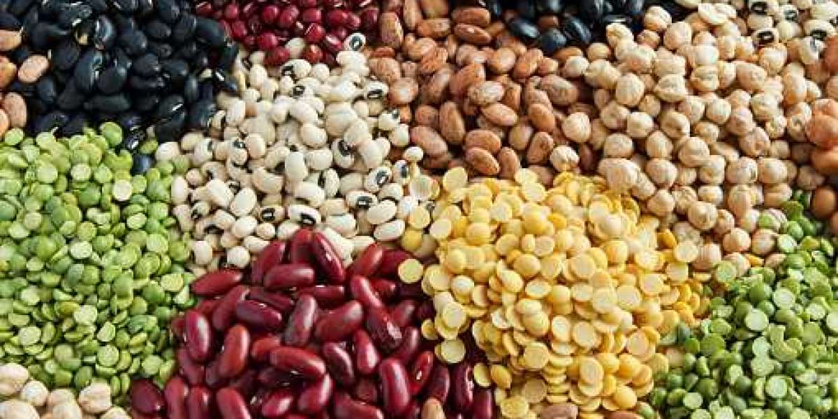 Fruits and Vegetable Seeds Market: Share, Size, Analysis, Growth, Trends, Revenue, Top Brands, and Report