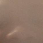 Scoobbydude Profile Picture