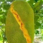 Suleiman Suleiman Profile Picture