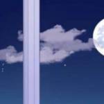 Kowsar Abdiaziz Profile Picture