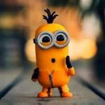 Elvis Karis Profile Picture