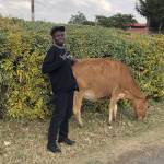 David Omondi Profile Picture