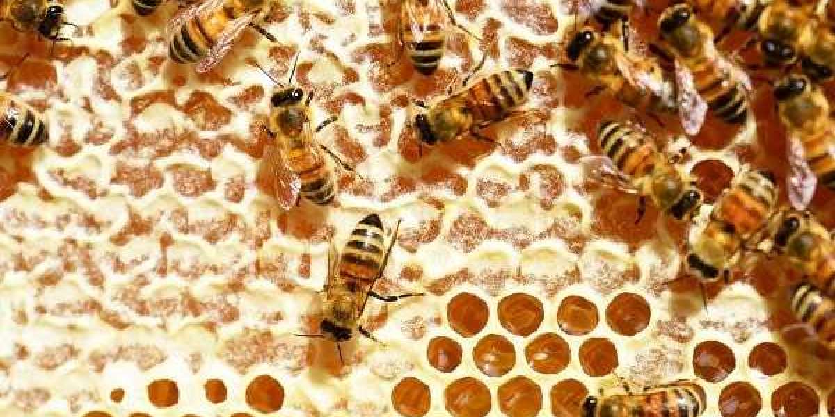 Methods of bee keeping