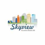 skyviewbrokers Profile Picture