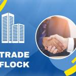 trade flock profile picture