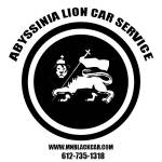 MN Black Car Service LLC Profile Picture