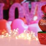 Felis Events Profile Picture
