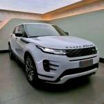 Gulavi Profile Picture