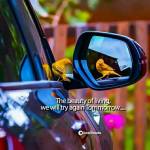 Gabriel Wamuti Profile Picture