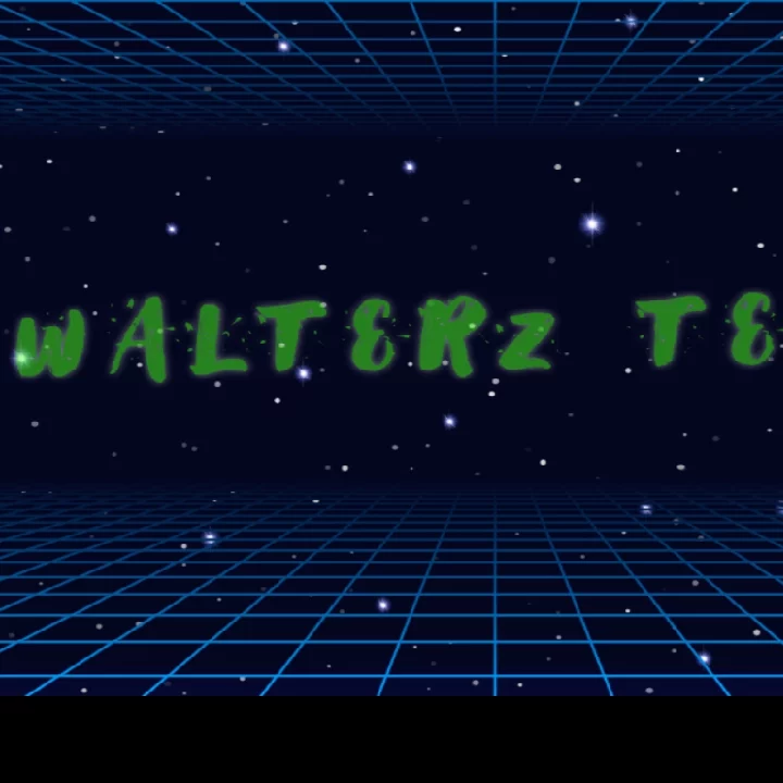 Erickson Walterz profile picture
