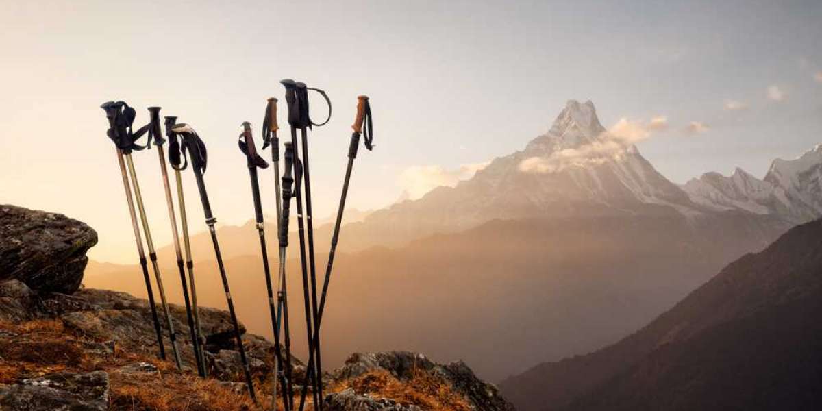 A Beginner's Guide to Trekking in Himachal Pradesh: Tips and Tricks for a Successful Adventure