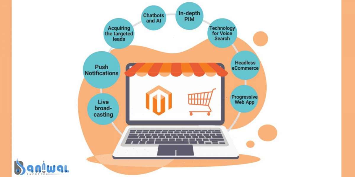 What Is Magento? The Popular eCommerce Platform Explained