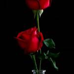 Mo babe Profile Picture