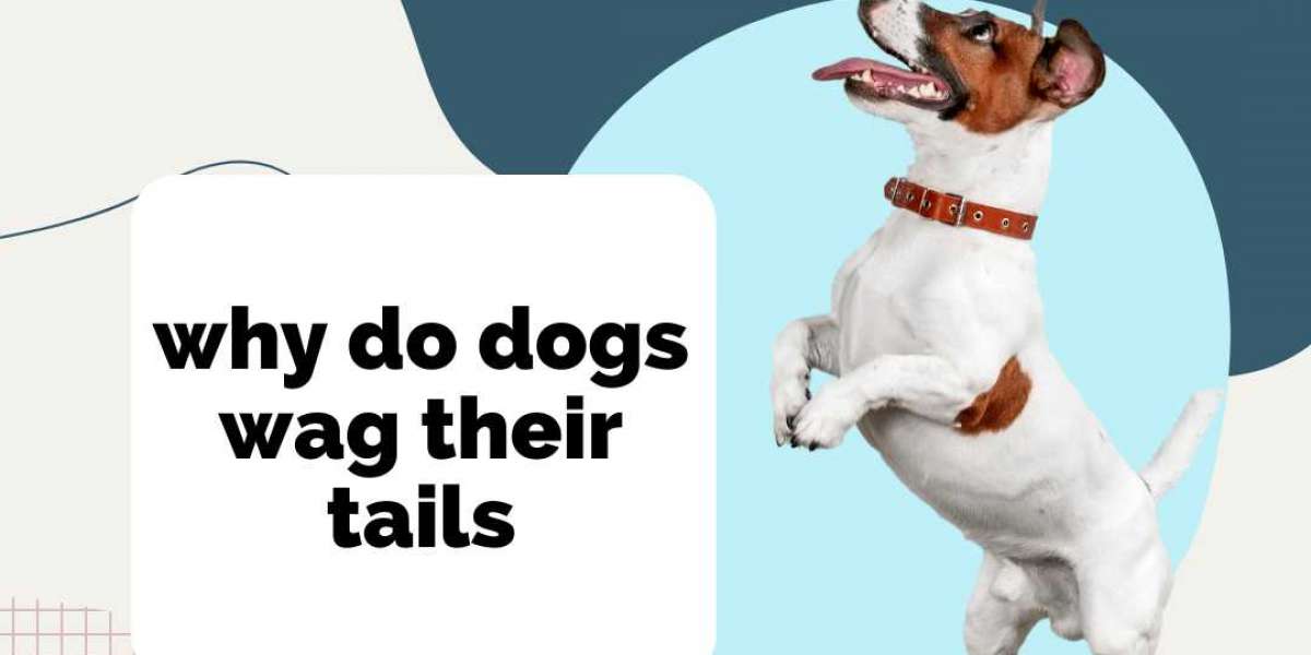 why do dogs wag their tails