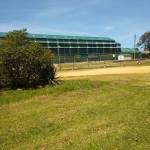 Kibetsterling Profile Picture