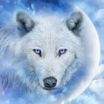 Miss M Profile Picture