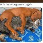 Myna21 Profile Picture