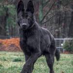 DERRICK KANYUIRA Profile Picture