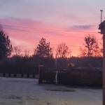 Bartus320 Profile Picture