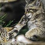 Maryjane Batz Profile Picture