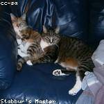 Aurelie Kihn Profile Picture