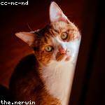 Clarabelle Corkery Profile Picture