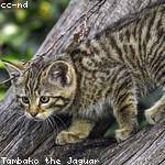 Clinton Schaefer Profile Picture