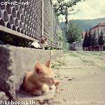 Kaia Lubowitz Profile Picture