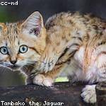 Jany Schoen Profile Picture