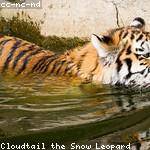 Cristal Renner Profile Picture