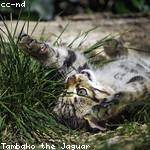 Kim Keeling Profile Picture