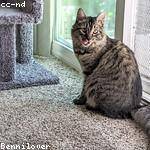 Prince Towne Profile Picture