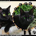 Edyth Padberg Profile Picture