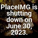 Garry Hackett Profile Picture