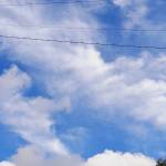 Peter kamau Wambui Profile Picture