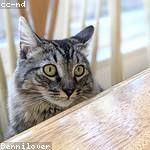 Velva Bechtelar Profile Picture