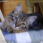 Cristal Schinner Profile Picture