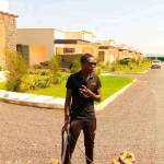 Sherryjohns Profile Picture