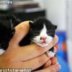 Jamel Heidenreich Profile Picture