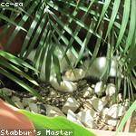 Cristina Boehm Profile Picture