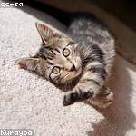 Trent Paucek Profile Picture