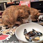 Lourdes DuBuque Profile Picture