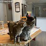 Ethyl Tillman Profile Picture