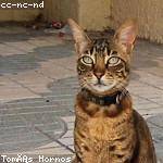 Genesis Bernhard Profile Picture